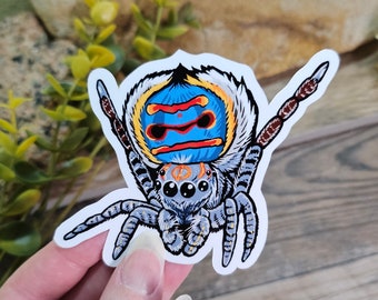 Peacock Jumping Spider Sticker - 4 inch glossy sticker -  Tarantula Arachnid Insect Bug Dance Rainbow Art Drawing