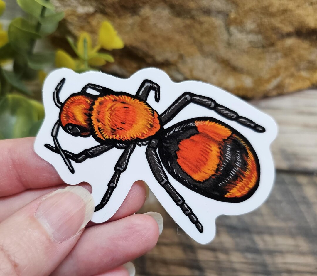 Velvet Ant Sticker: 3 Inch Glossy Waterproof Insect Decal - Etsy
