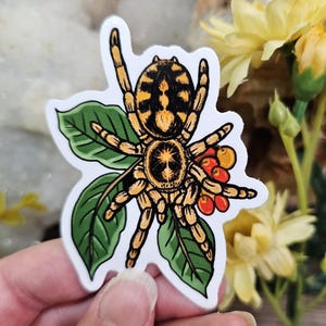 May include: A sticker featuring a detailed illustration of a yellow and black spider with red berries on a green leaf background.