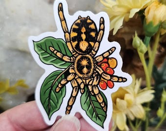 Pumpkin Patch Tarantula Sticker: Hapalopus sp. Columbia, Fall Spider (2.75 inch Waterproof)