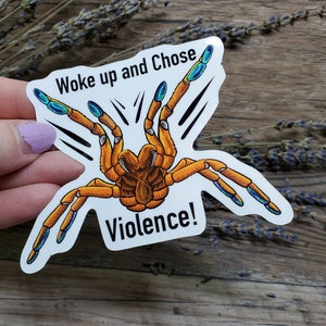 Woke up and Chose Violence OBT Orange Baboon Tarantula Sticker 3.75 inch glossy sticker Insect Bug Arachnid Pterinochilus murinus image 3