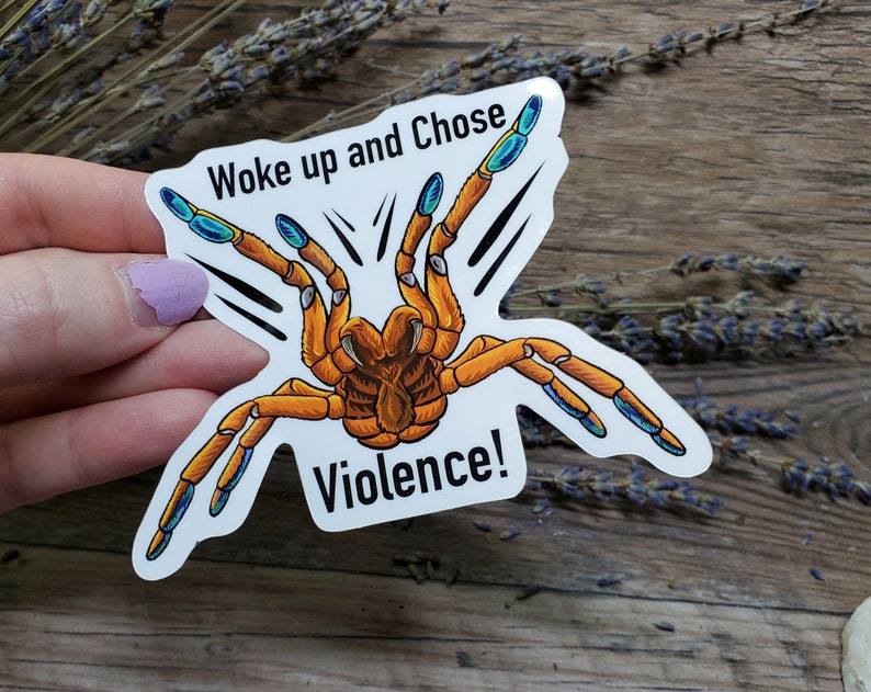 Woke up and Chose Violence OBT Orange Baboon Tarantula Sticker 3.75 inch glossy sticker Insect Bug Arachnid Pterinochilus murinus image 3