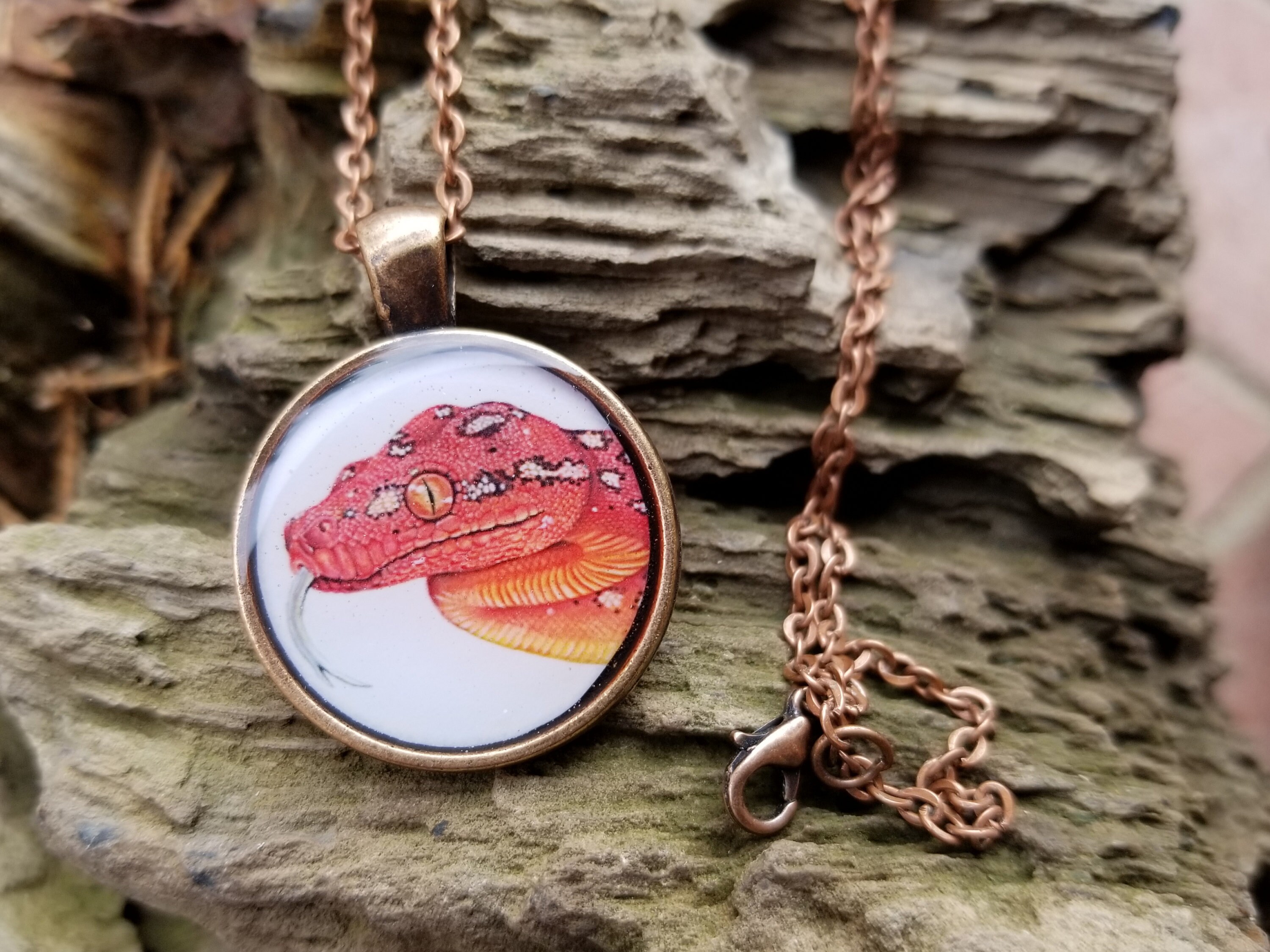 Baby Red Green Tree Python Portrait Snake Reptile Drawing | Etsy