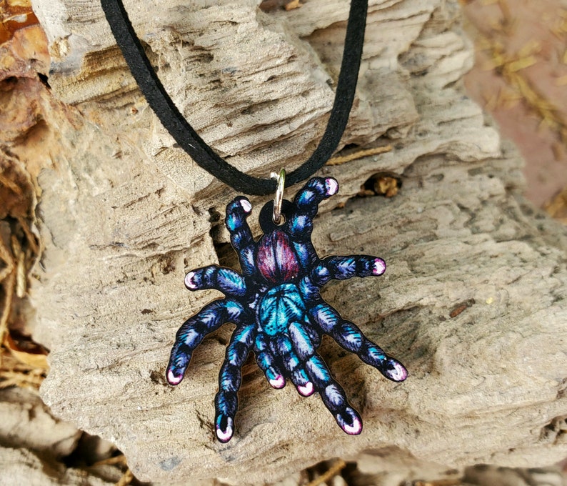 May include: A pendant necklace featuring a colorful tarantula design. The spider is depicted in shades of blue, teal, and purple, with a black cord. The pendant is attached to a black cord necklace.
