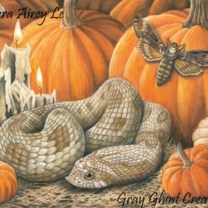 May include: A still life illustration featuring a snake curled up on a bed of straw with three lit candles, a moth with a skull on its head, and several pumpkins. The text "Laura Airey Le" and "Gray Ghost Creations" are visible in the image.