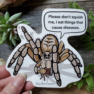 Wolf Spider Glossy Sticker: Arachnid Bug Art - 2.5 or 4 Inch