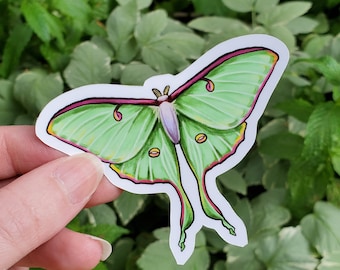 Luna Moth Waterproof Sticker - 3.25 inch glossy sticker - Moth Insect Bug Butterfly Rainbow Art Drawing Forest Green Moon Metaphystical