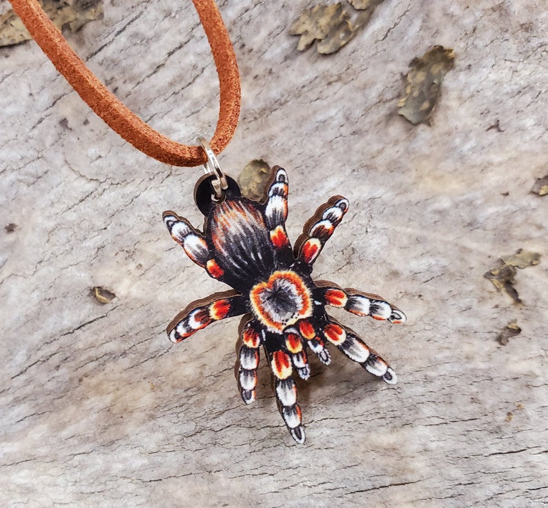 Mexican Red Knee Tarantula Brachypelma hamorii Wooden Pendant and Necklace One Necklace You Pick the Color Smithi Spider Gift image 4