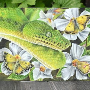 May include: A green snake with a yellow butterfly on a white flower. The snake is curled around the flower and the butterfly is perched on the petal. The background is a dark green.