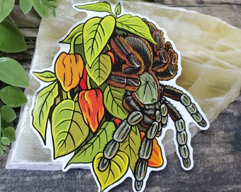 Psalmopoeus Victori Tarantula with Habanero Peppers Sticker - 4 inch glossy sticker - Insect Bug Green Red Darth Maul Venom Art Spider