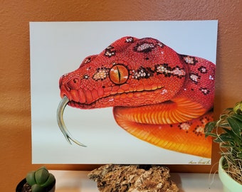 Baby Green Tree Python Print: Signed Limited Edition Reptile Art (11x14)