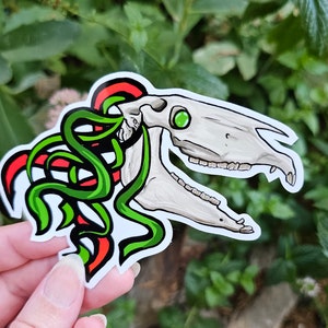 mari-lwyd-sticker-welsh-christmas-horse-skull-cryptid-4-inch-etsy