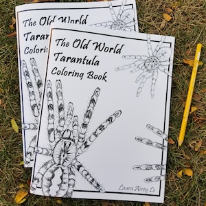 The Old World Tarantula Coloring Book by Laura Airey Le