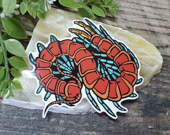 Scolopendra Sp. Mint Leg Centepede Sticker - 4 inch glossy sticker - Insect Bug Green Red Centepede Venom Art Drawing