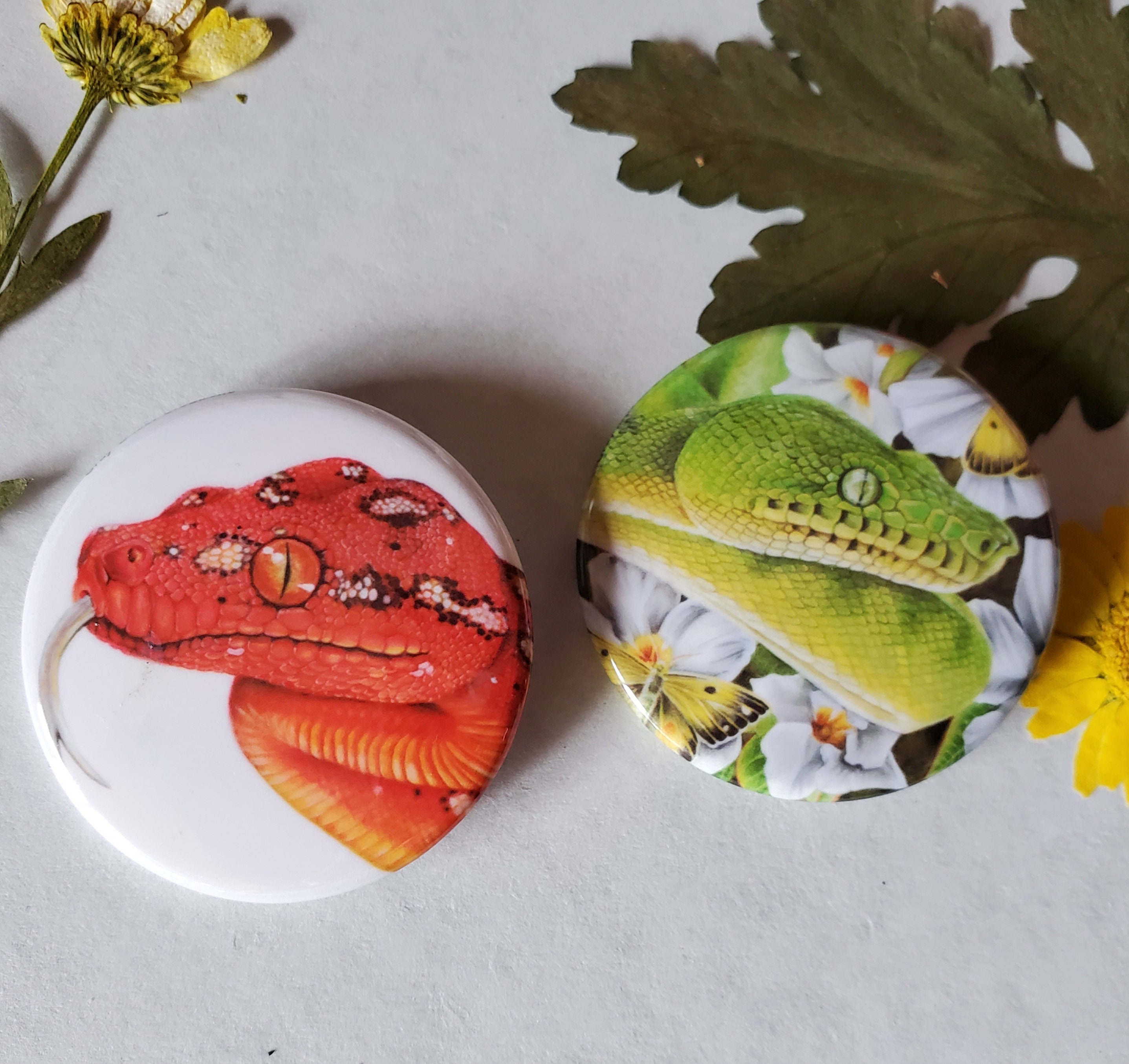 Emerald Tree Boa and Baby Green Tree Python Button Duo 1.75 | Etsy