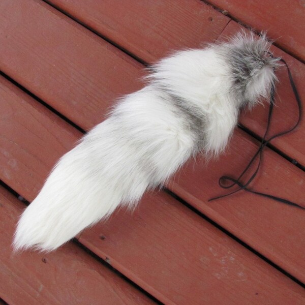 Rare Beautiful Polar Fox Tail