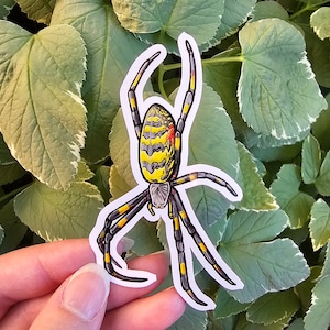 May include: A yellow and black spider sticker with a red spot on its abdomen. The spider is in a web-like pose with its legs spread out.