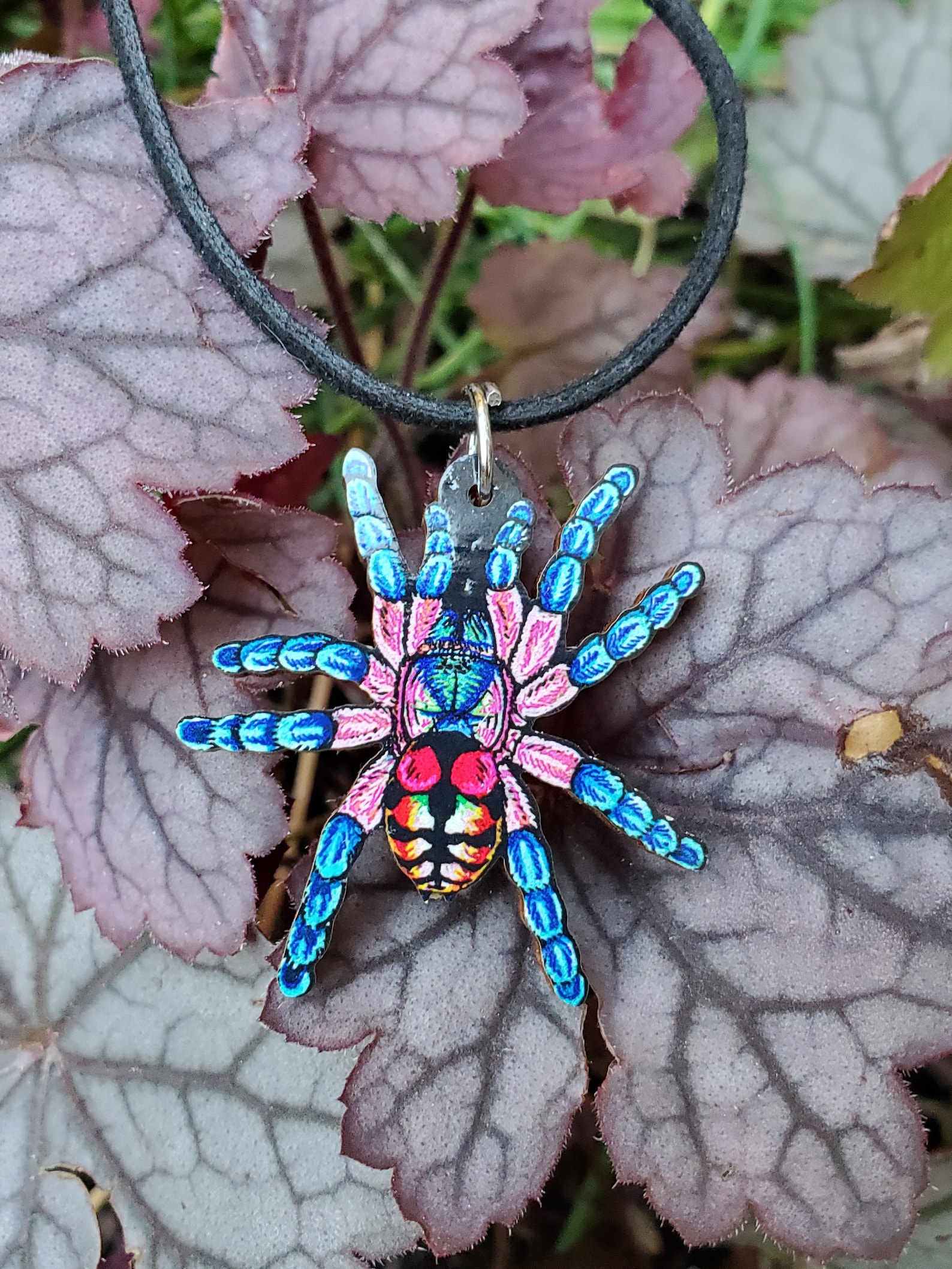 Brazilian Jewel Tarantula Typhochlaena Seladonia Wooden Pendant and