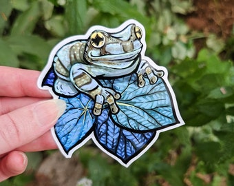 Milk Frog Blue Begonia Sticker - 3.75 inch glossy sticker - Frog Toad Amazon Amphibian Art Drawing Frogcore Plant Waterproof Amphibian