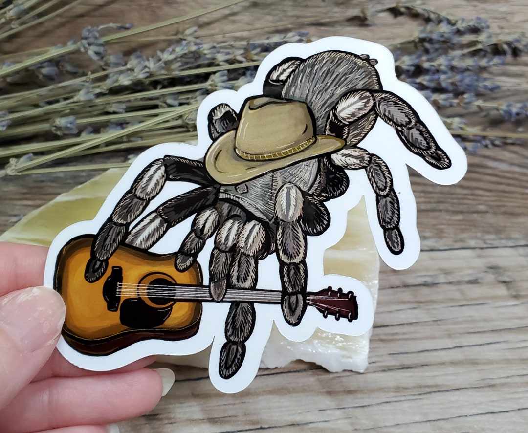 Aphonopelma Johnnycashi Tarantula 4 Inch Glossy Sticker Art Drawing