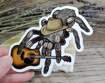 Aphonopelma johnnycashi Tarantula - 4 inch glossy sticker -  Art Drawing Spider Tarantula Western Arachnid Waterproof Country Singer