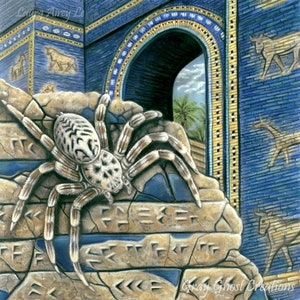 Gates of Ishtar Spider Art Print: Eusparassus Walckenaeri, Laura Airey Le 8x8
