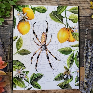 Lemon Tree Spider Art Print: Honey Bees, Summer Garden