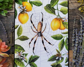 Lemon Tree Spider Art Print: Honey Bees, Summer Garden