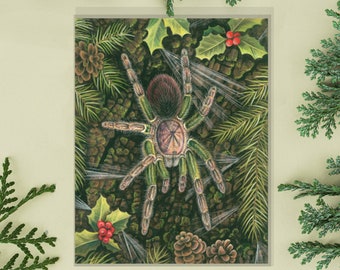 Limited Edition - Holiday Tarantula - Phormictopus sp Green - Fine Art 11x14 Print - By Laura Airey Le - Winter Christmas Evergreen Tree