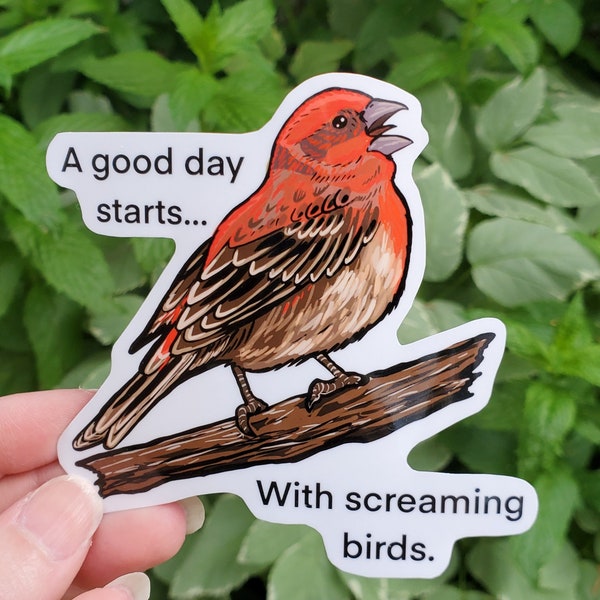 Een goede ochtend begint met Screaming Birds Sticker - 4 inch glanzende waterdichte sticker - Wild Bird Birding Cottagecore House Finch