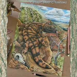 Gila Monster Print: Limited Edition Colored Pencil Reptile Art (11x14)