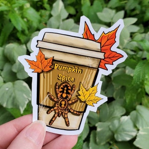 May include: A sticker of a brown and white coffee cup with a spider on the side. The cup has the text "Pumpkin Spice" on it. There are fall leaves in the background.