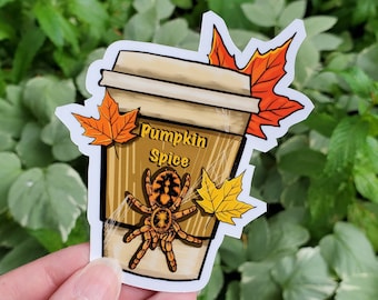 Pumpkin Spice Tarantula Sticker: Hapalopus sp. Columbia - Fall Spider