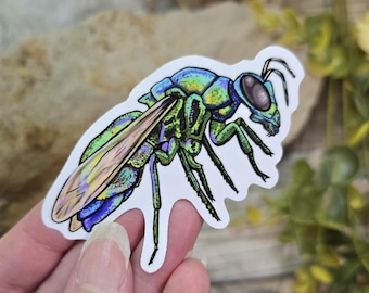 May include: A sticker of a green and blue iridescent wasp with a white background.