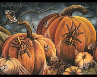 The Pumpkin Patch - Fine Art Print - By Laura Airey Le - Hapolopus sp. Colombia Halloween Pumpkin Arachnid Bug Tiger Moth Taranutla