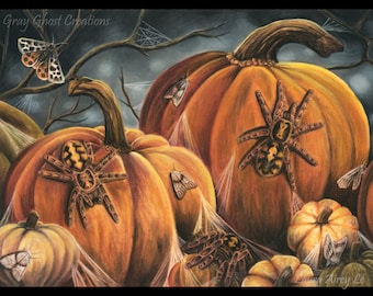 The Pumpkin Patch - Fine Art Print - By Laura Airey Le - Hapolopus sp. Colombia Halloween Pumpkin Arachnid Bug Tiger Moth Taranutla