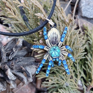 Socotra Island Blue Baboon Tarantula Monocentropus balfouri Wooden Pendant and Necklace image 2