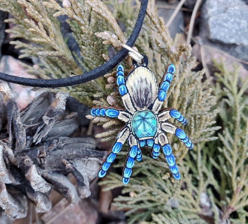 Socotra Island Blue Baboon Tarantula Monocentropus balfouri Wooden Pendant and Necklace image 2