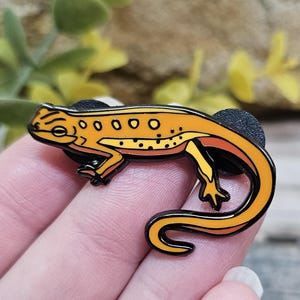Hard Enam Pin - Eastern Newt Eft - Salamander Amphibian Nature Art Black Metal Orange Cute Pin