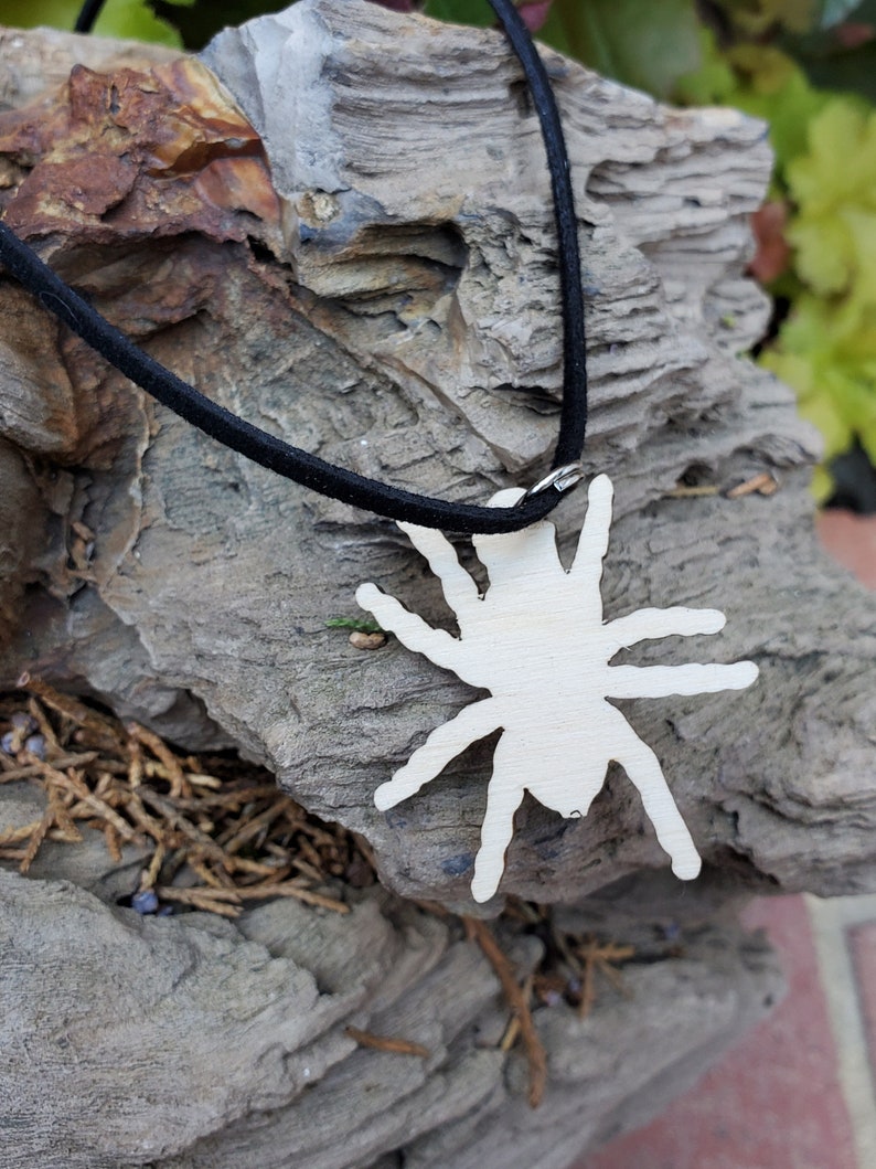 Brazilian Jewel Tarantula Typhochlaena seladonia Wooden | Etsy