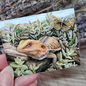 Bearded Dragon Sticker - 2.75 inch glossy sticker -  Reptile Lizard Insect Bug Australian Wildlife Butterfly Beetle Waterproof