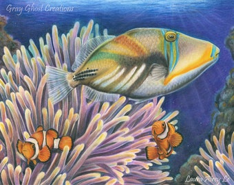 Salt Water Life - Fine Art Print - Piccaso Trigger Fish and Clown Fish Drawing Colored Pencils Animal Sea Ocean Fresh Water