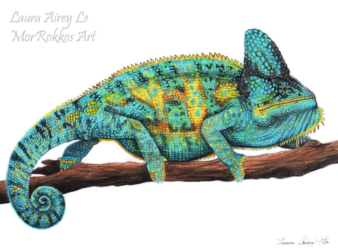 Stanley the Veiled Chameleon - Fine Art Print - by Laura Airey Le