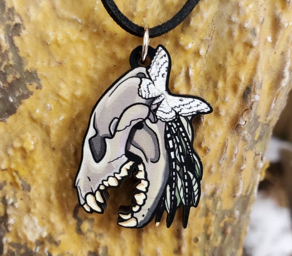 Spotted Hyena Skull Witch Doctor Hyena 