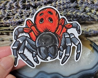 Velvet Spider Sticker - 3.5 inch glossy sticker - Ladybird Spider Insect Bug Arachnid Ladybug Art Drawing