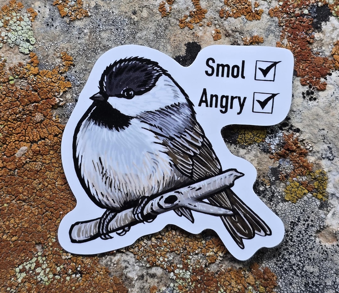 Smol Angry Chickadee Sticker: Glossy Waterproof Bird Art - Etsy