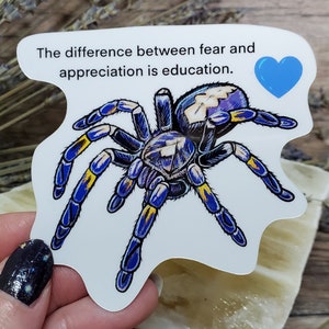 P. Metallica "The Difference between fear and appreciation is education. "  Sticker - 4.5 inch or 3.5 inch glossy sticker Tarantula Arachnid