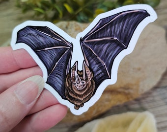 Sword Nosed Bat Sticker - 3.25 inch glossy sticker - Waterproof Bat Batty Art Drawing Lonchorhina aurita Vampire Night Wildlife