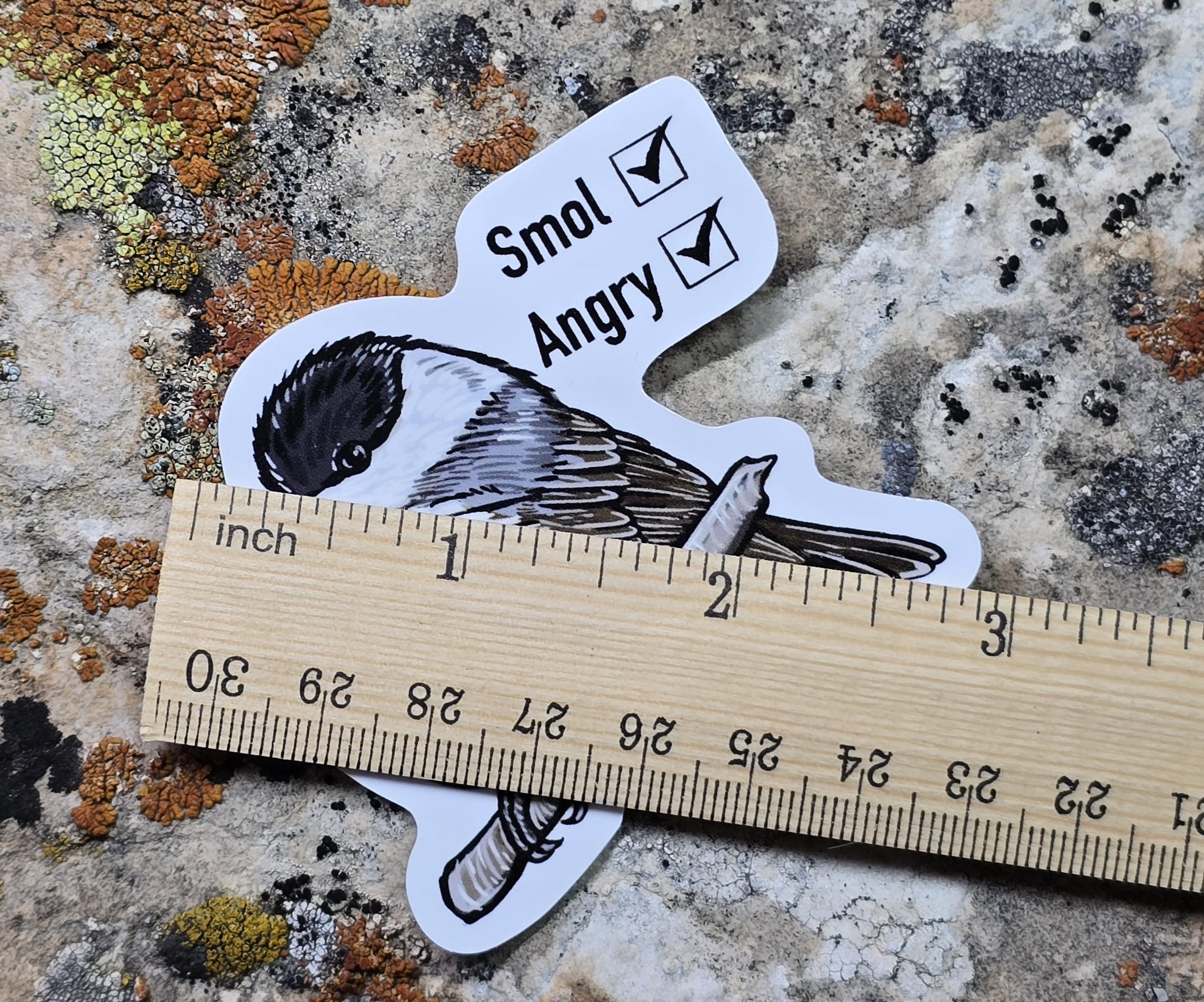 Smol Angry Chickadee Sticker: Glossy Waterproof Bird Art - Etsy