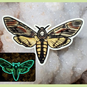 GLOW in the DARK - Death Head Moth - 3 inch glossy Waterproof  sticker - Moth Insect Bug Butterfly Rainbow Art Drawing Glowing